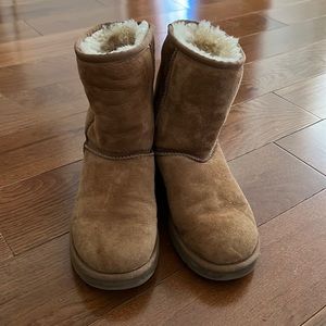 Short Chestnut Uggs